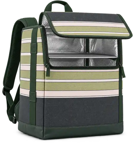 Charcoal With Olive And Pale Pink Stripes Polyspun Canvas Insulated Rider Delivery Bag