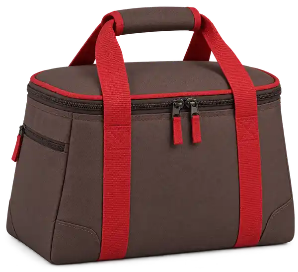 Chocolate Brown Solution-Dyed Polyester Thermal Cooler Bag