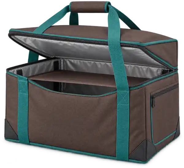 Chocolate Brown Solution-Dyed Polyester Thermal Pizza Delivery Bag