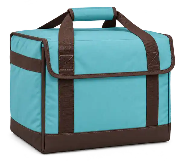 Soft Turquoise Solution-Dyed Polyester Thermal Burger Delivery Bag