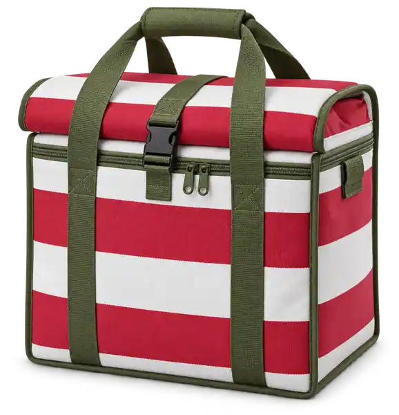 Red And White Broad Stripes Solution-Dyed Polyester Thermal Burger Delivery Bag