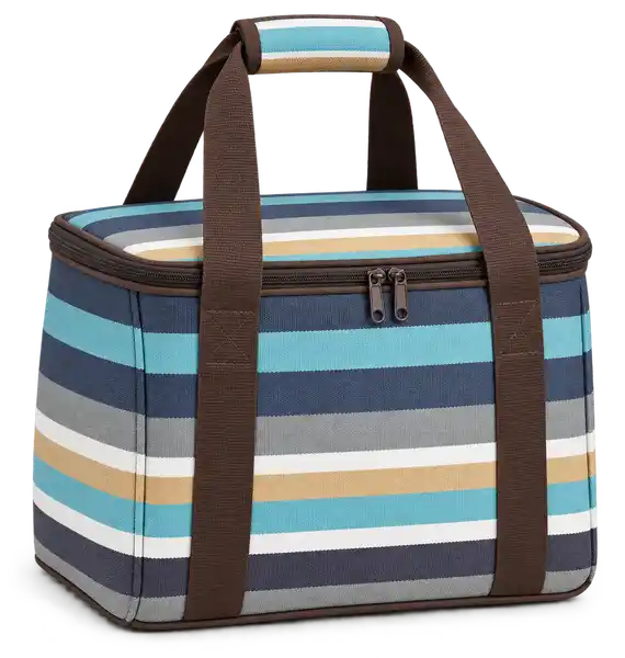 Charcoal Aqua White And Ochre Mixed Stripes Solution-Dyed Polyester Thermal Burger Delivery Bag