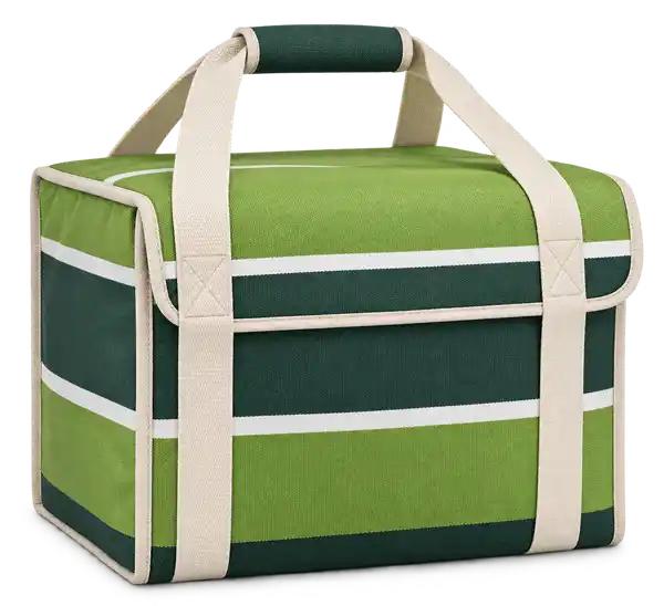 Forest Green Lime And White Broad Stripes Solution-Dyed Polyester Thermal Burger Delivery Bag